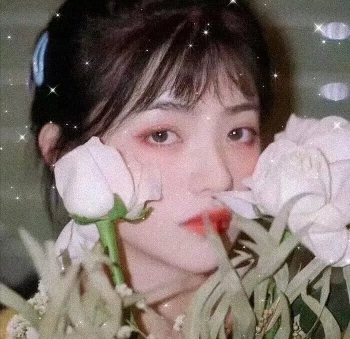 阿宝的故事
