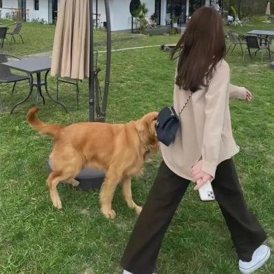 沙漠奇观